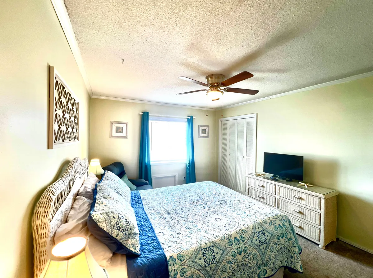 A tranquil primary bedroom with a decorative bed, woven headboard, sheer curtains letting in natural light, a dresser with a TV, and a ceiling fan. The space feels airy and restful, ideal for unwinding while enjoying the view through the window.
